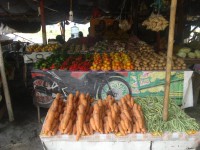 /album/dili-/a02-dili-2012-36-jpg/